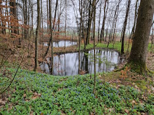 Michelfelder Bohnerzgruben, heute ein Naturschutzgebiet